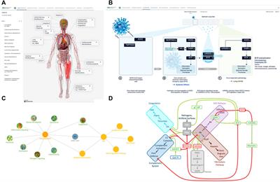 Whole patient knowledge modeling of COVID-19 symptomatology reveals common molecular mechanisms